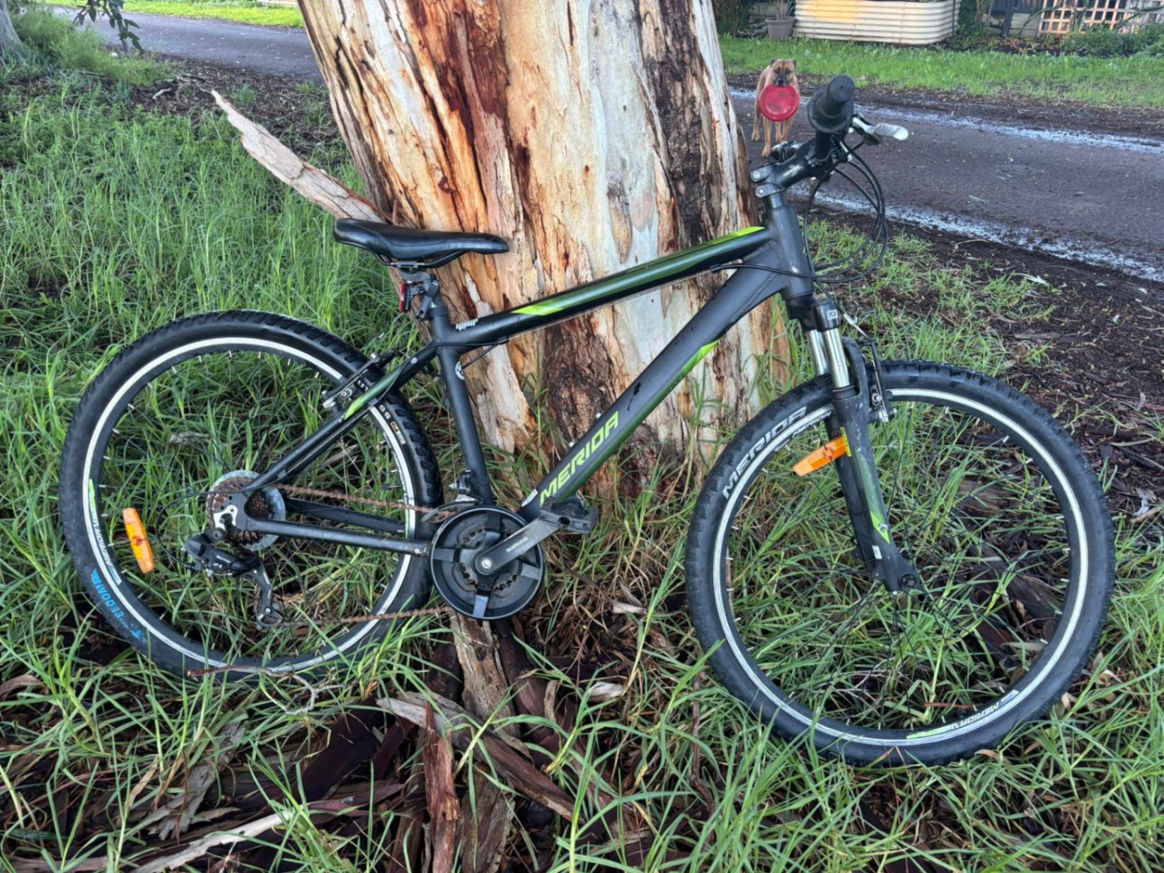 Merida  reported in Port Adelaide