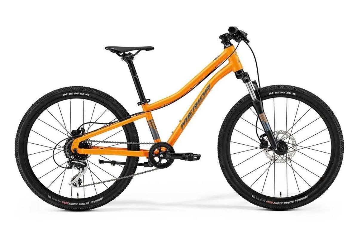 Merida Matts J24 Disc reported in Blackwood
